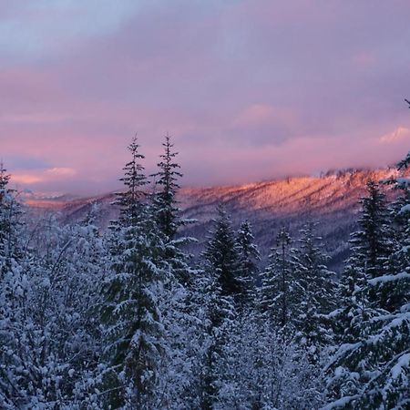 Hot Tub Cool Views: Roaring Creek Cabin Leavenworth Buitenkant foto